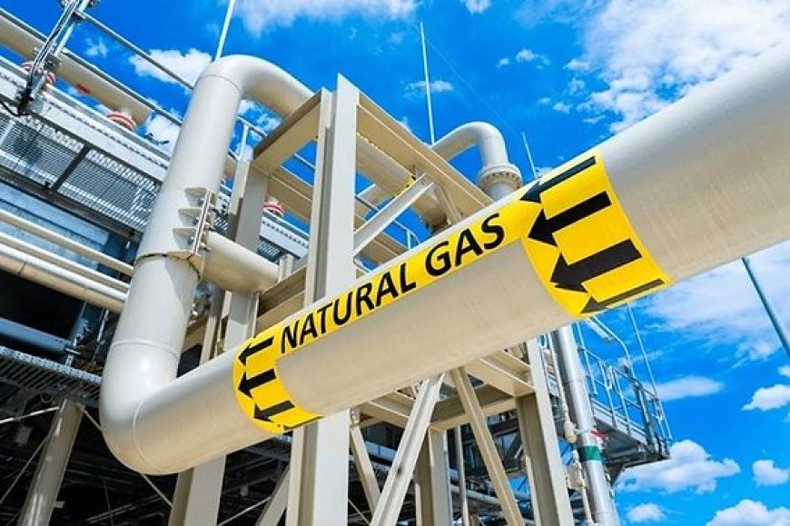 Empresa planeja construir terminal de regaseificação de gás natural em Almeirim