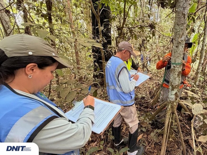 DNIT e Ibama vistoriam inventário florestal para emissão de Licença Ambiental das obras da BR-156, trecho Sul.