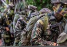 Exército integra busca por extrativista desaparecidos há 11 dias nas matas do rio Paru.