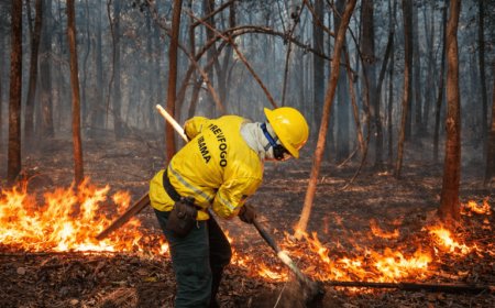 Ibama reforça brigadas no Amapá para seca e amplia contratações no Prevfogo