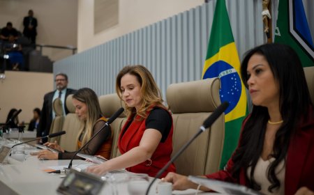 Quatro projetos de lei aprovados na Assembleia seguem para sanção do Poder Executivo