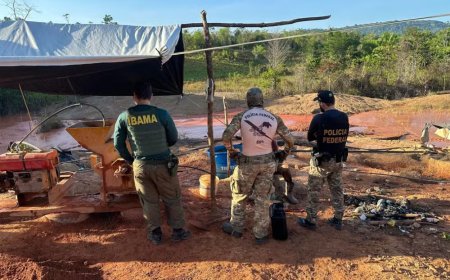 Operação federal desativa áreas de garimpo ilegal na divisa do Amapá com Pará