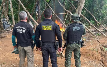 Operação federal desativa áreas de garimpo ilegal na divisa do Amapá com Pará