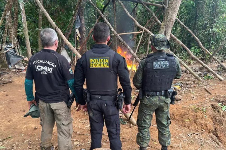 Operação federal desativa áreas de garimpo ilegal na divisa do Amapá com Pará