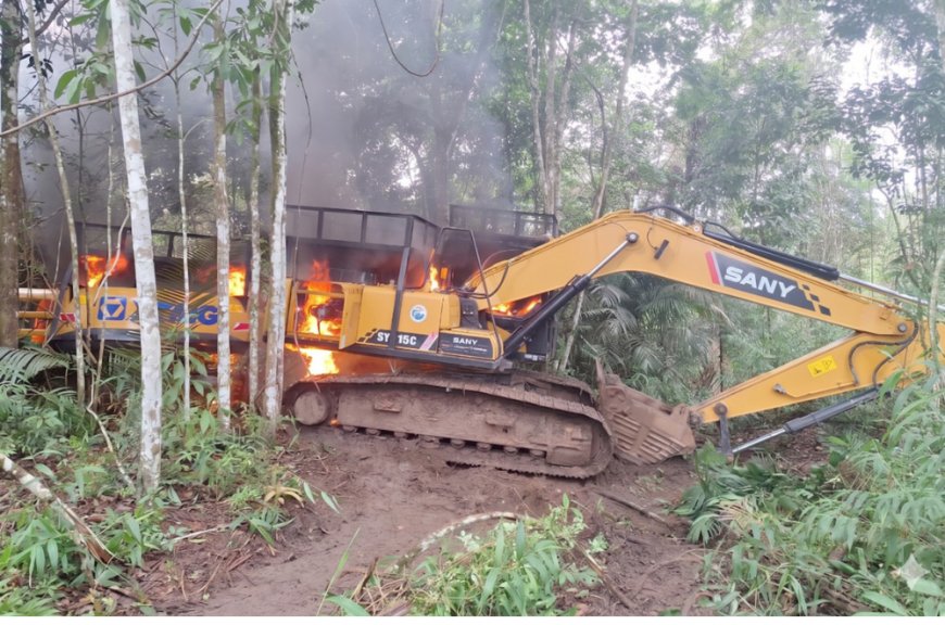 Ibama combate o garimpo ilegal na floresta das Árvores Gigantes, entre o Amapá e o Pará