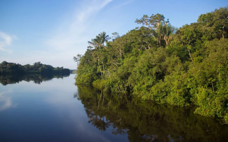 Amapá entra em alerta com risco elevado de El Niño em 2026