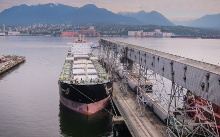 Para fugir do congestionamento de navios do Sul, soja é escoada pelo Amapá
