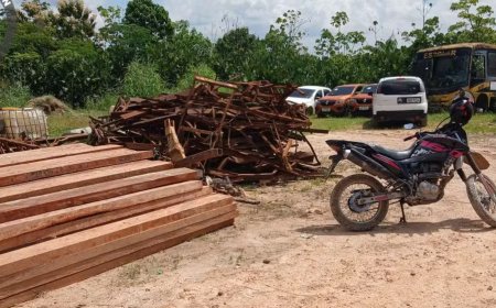 Operação identifica 20 pontos de desmatamento ilegal em reserva federal no Amapá