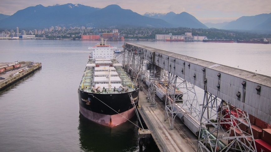 Para fugir do congestionamento de navios do Sul, soja é escoada pelo Amapá